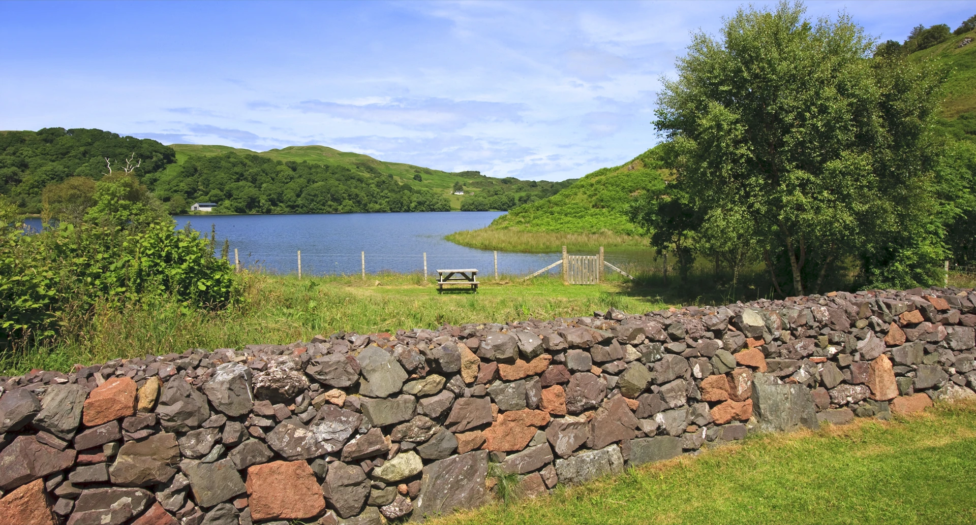 _i5d5343_lochside_picnic_area__medium.jpg (4)