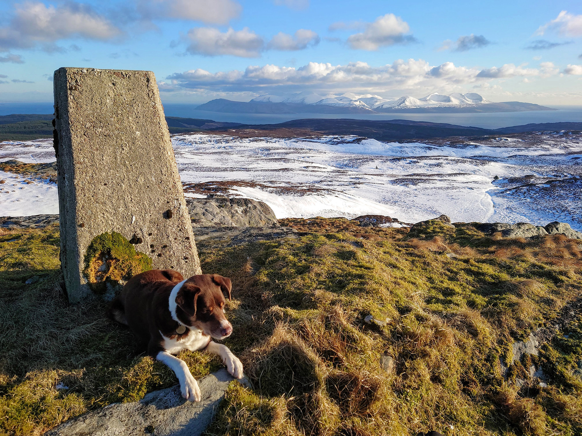 Background image - arran_from_kintyre_heathery_heights.jpg (1)